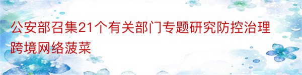 公安部召集21个有关部门专题研究防控治理跨境网络菠菜