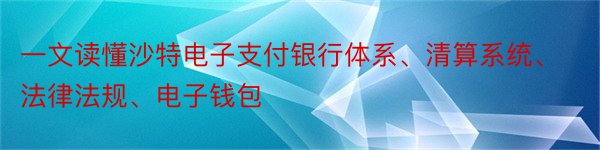 一文读懂沙特电子支付银行体系、清算系统、法律法规、电子钱包