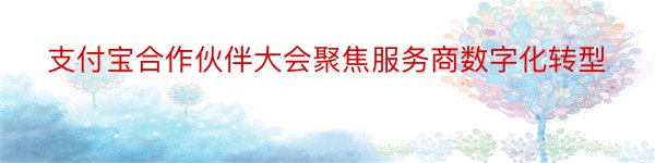 支付宝合作伙伴大会聚焦服务商数字化转型