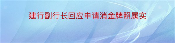 建行副行长回应申请消金牌照属实