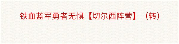 铁血蓝军勇者无惧【切尔西阵营】（转）