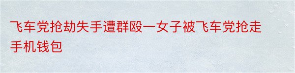 飞车党抢劫失手遭群殴一女子被飞车党抢走手机钱包