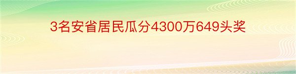 3名安省居民瓜分4300万649头奖