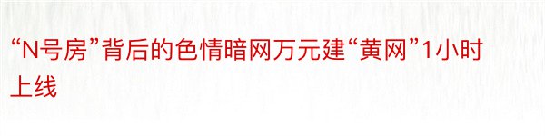 “N号房”背后的色情暗网万元建“黄网”1小时上线