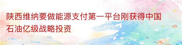 陕西维纳要做能源支付第一平台刚获得中国石油亿级战略投资